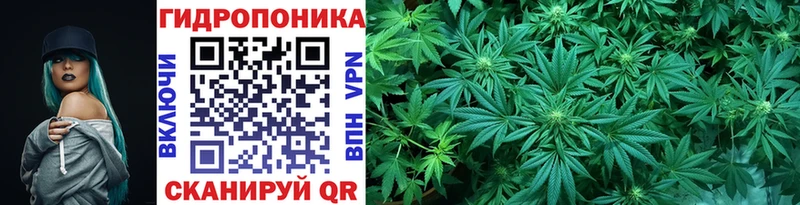 Где купить наркотики Закаменск COCAIN APVP кракен маркетплейс Марихуана