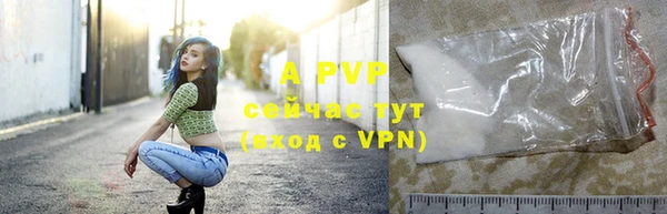 стафф Белокуриха