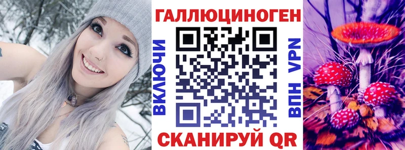 Псилоцибиновые грибы мицелий Закаменск