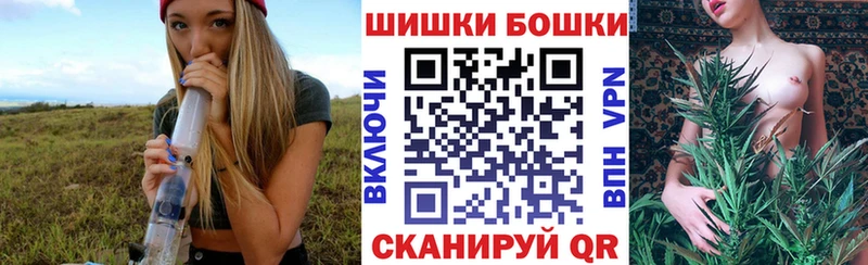 Бошки Шишки конопля Закаменск